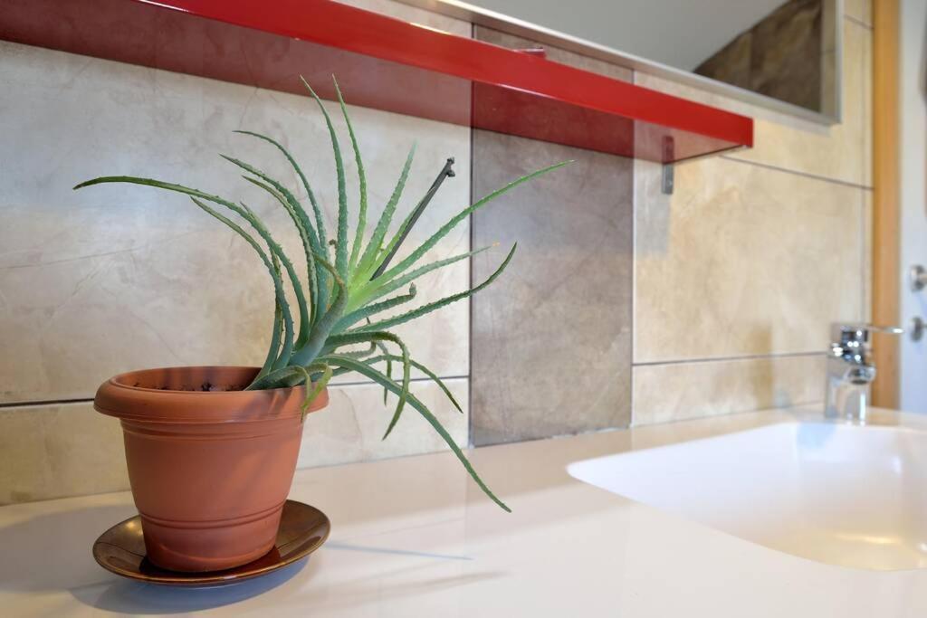 Comfortable Apartment Near Pula Marcana Bagian luar foto